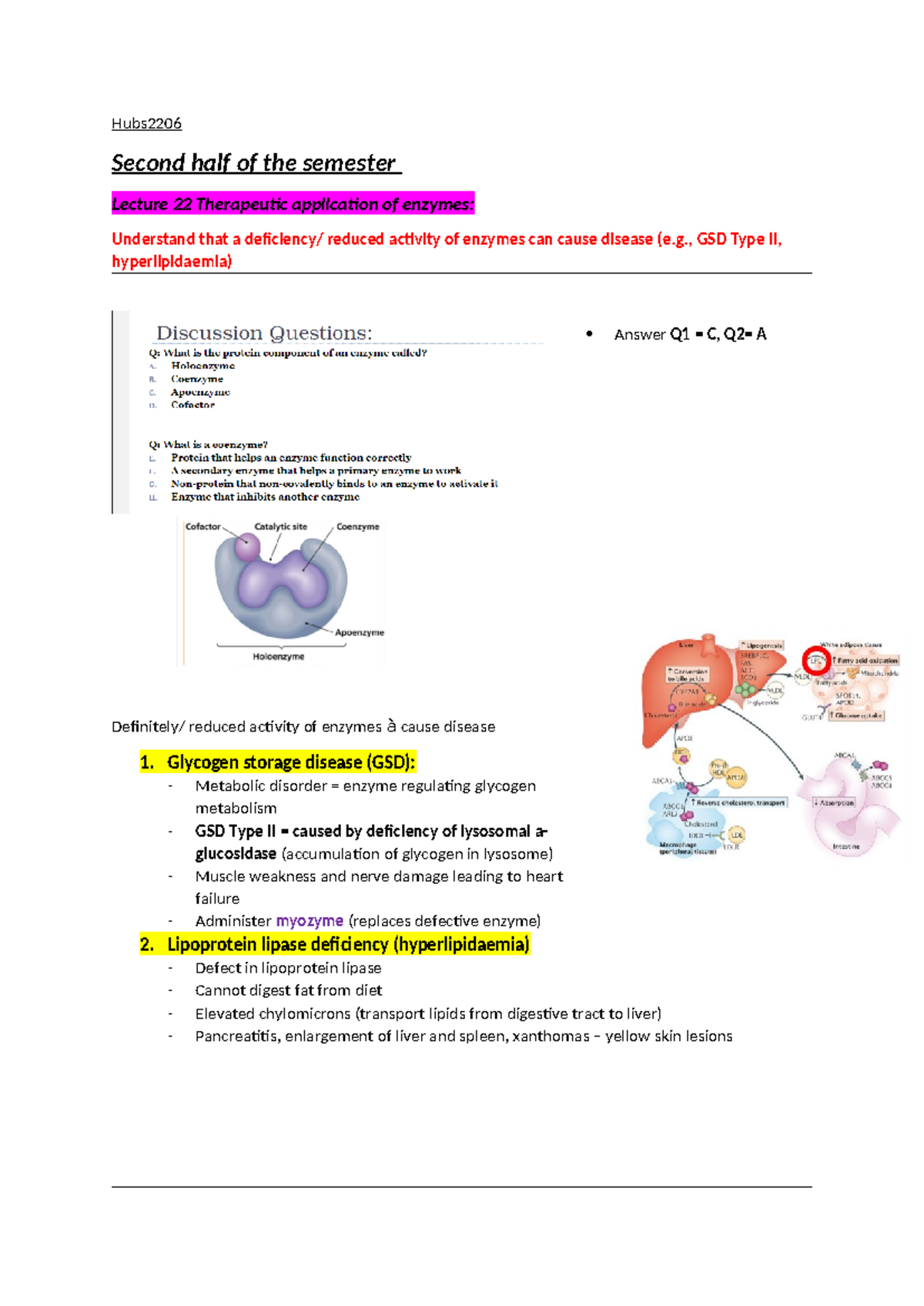 HUBS2206 Final Exam - Practice Resources and Key Enzyme Concepts - Studocu