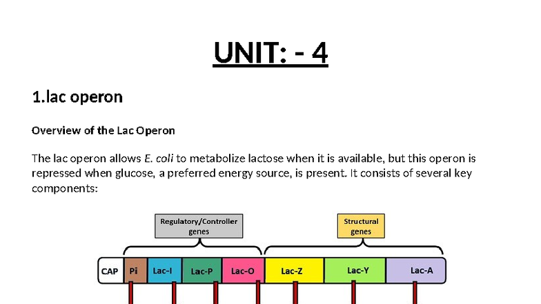 UNIT 4: Overview of the Lac Operon in Molecular Biology - Studocu