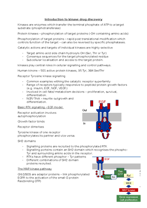 Receptor Tyrosine Kinases (RTKs): Structure, Function, and Signaling ...