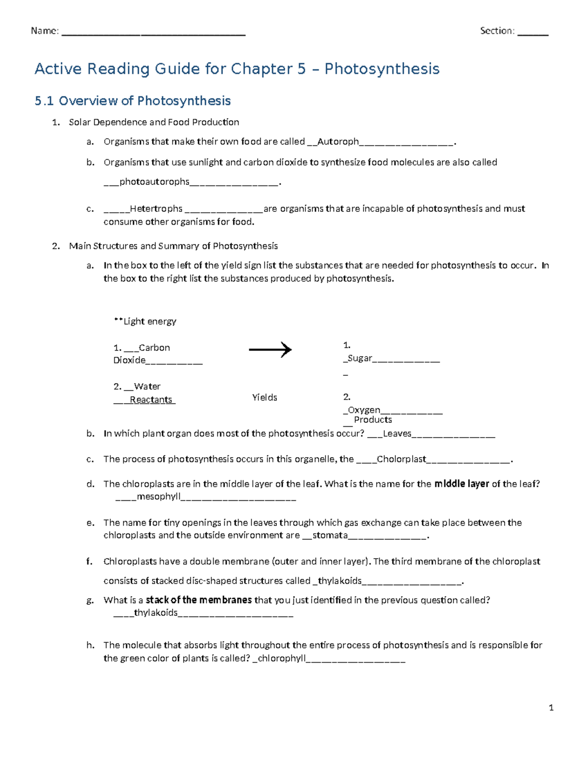 Chapter 5 ARG - ARG - Active Reading Guide for Chapter 5 ...