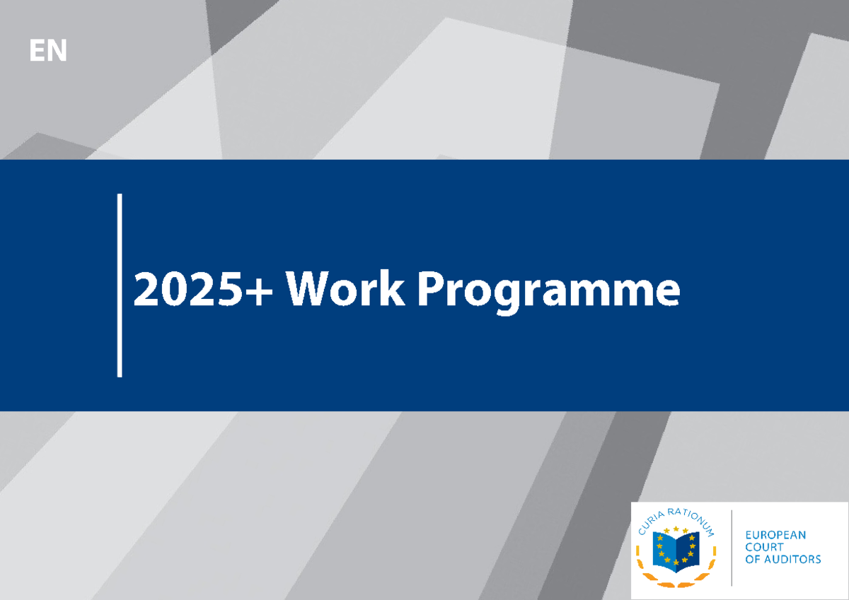 WP-2025 EN - This document provides a detailed overview of the 2025 ...