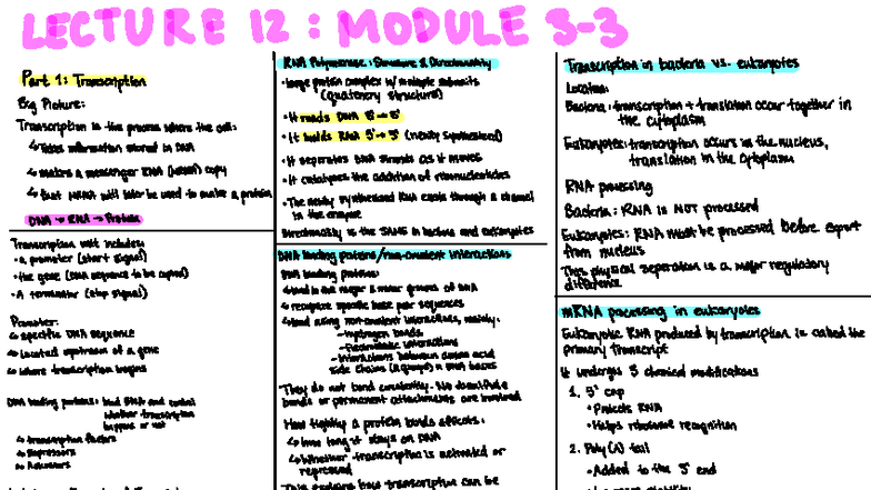 BIO 112: Lecture 12 - Transcription Process in Eukaryotes and Bacteria ...