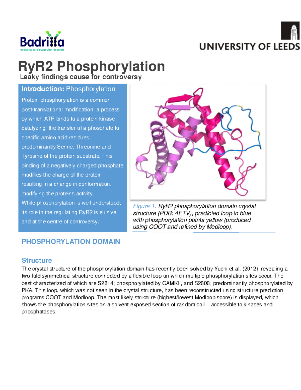 RyR2 Phosphorylation Controversies: Insights and Findings - Studocu