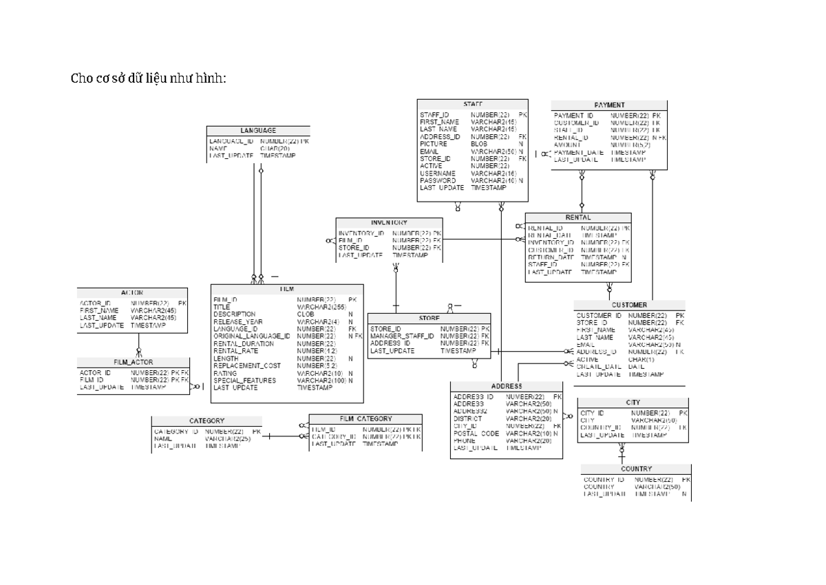 MIS312 01 - SQL Exercises on Video Rental Database Structure - Studocu
