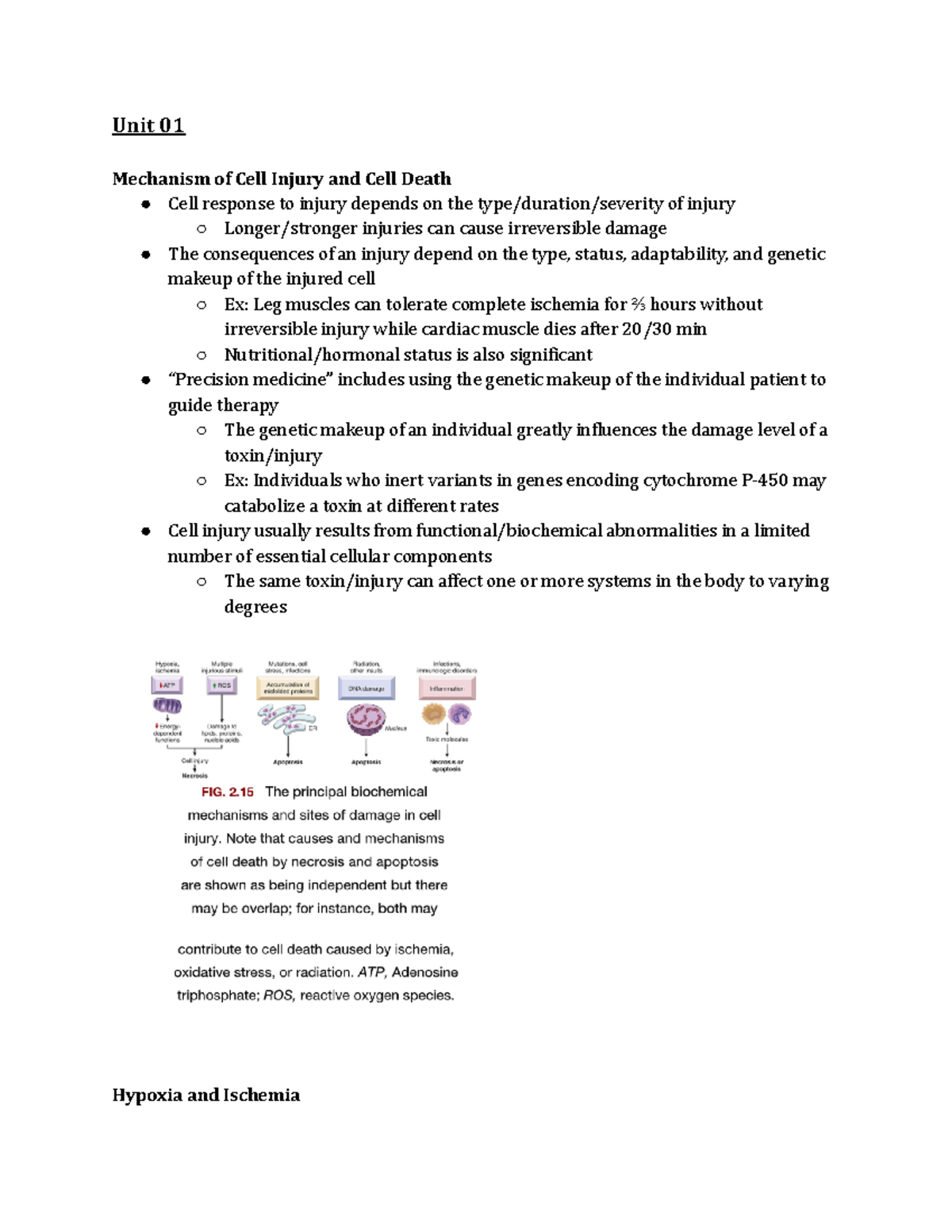 Pathology (Unit 1) - Mechanisms of Cell Injury and Death Analysis - Studocu