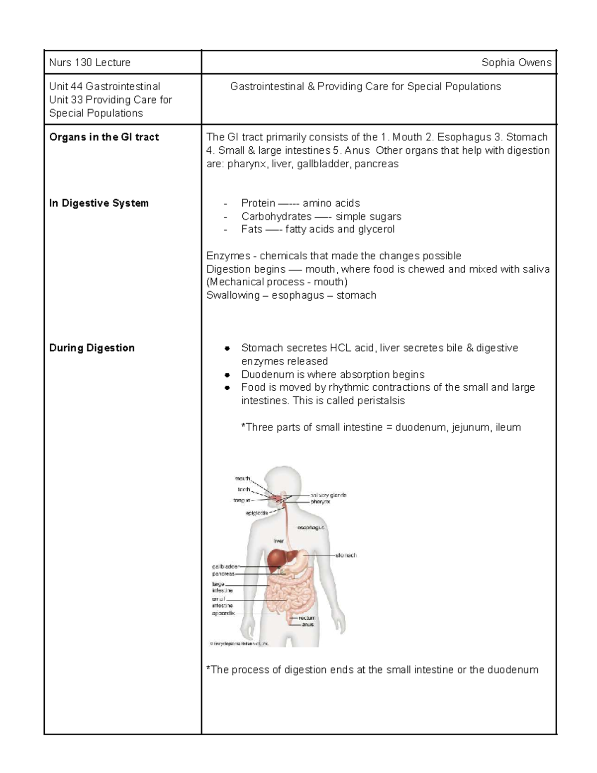 NURS 130 Week 4 Lecture: GI System & Care for Special Populations - Studocu