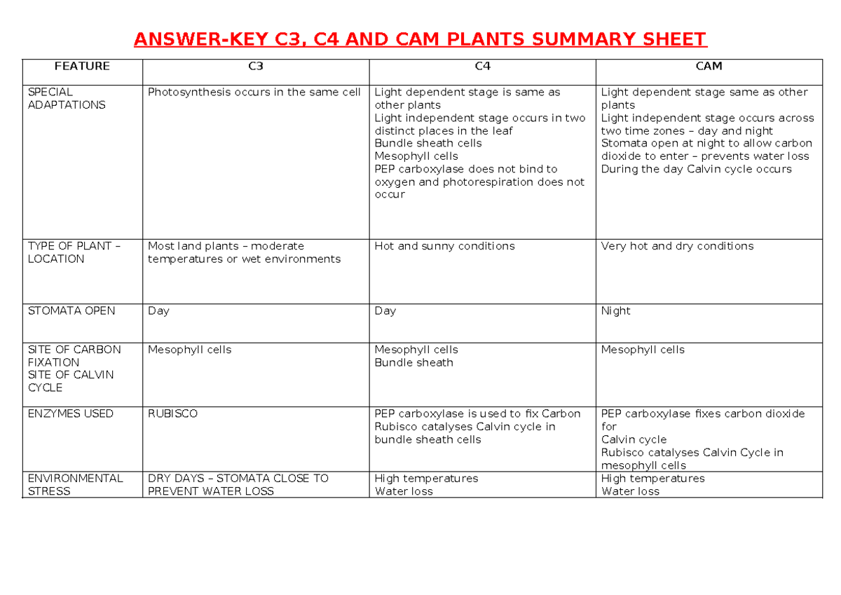 C3, C4, and CAM Plants Summary - C3 C4 Worksheet - Studocu