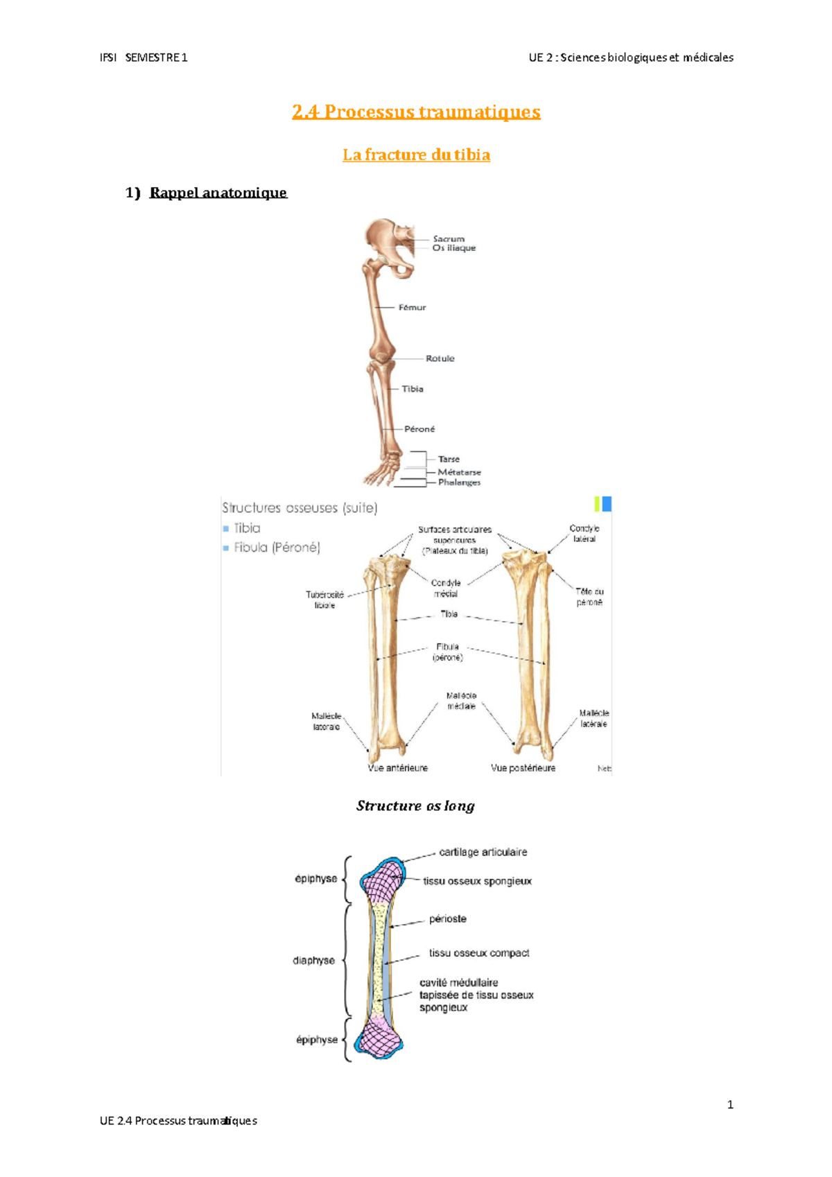 S1 UE2.4 - Cours sur les Fractures et Complications Post-Opératoires ...