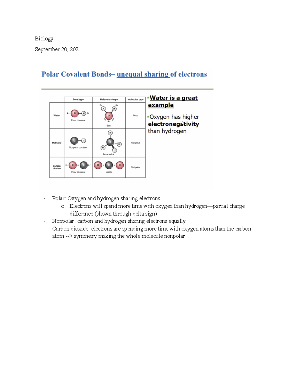 BIO Lecture Notes - Sept 20, 2021 - Fardad Firooznia - Studocu