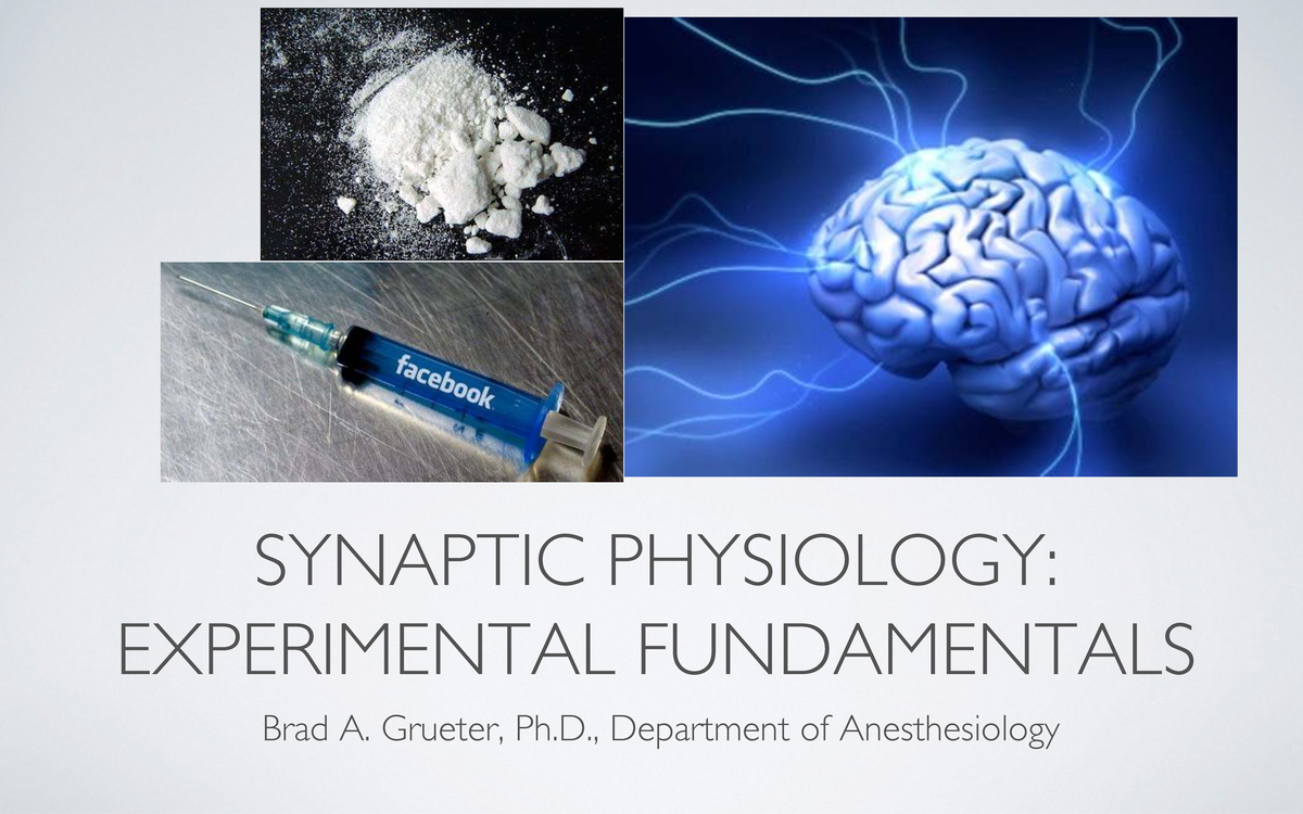 Experimental Fundamentals in Synaptic Physiology (SYNP 101) - Studeersnel