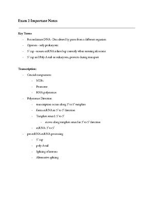 Tides answer key - tide assignment - TIDES ANSWER KEY ebb current ...