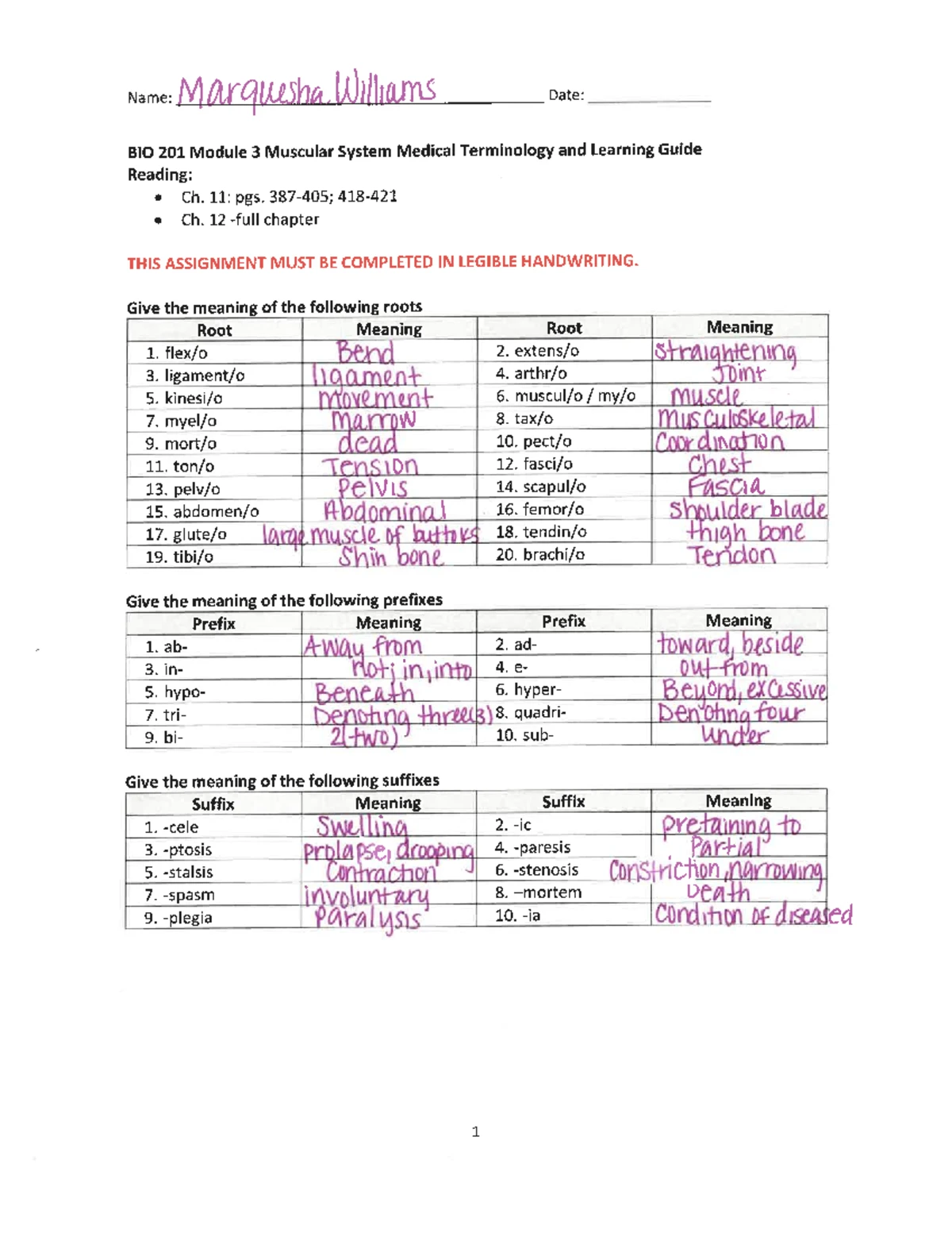 BIO 202 Module 3: Lymphatic System Medical Terminology Study Guide ...