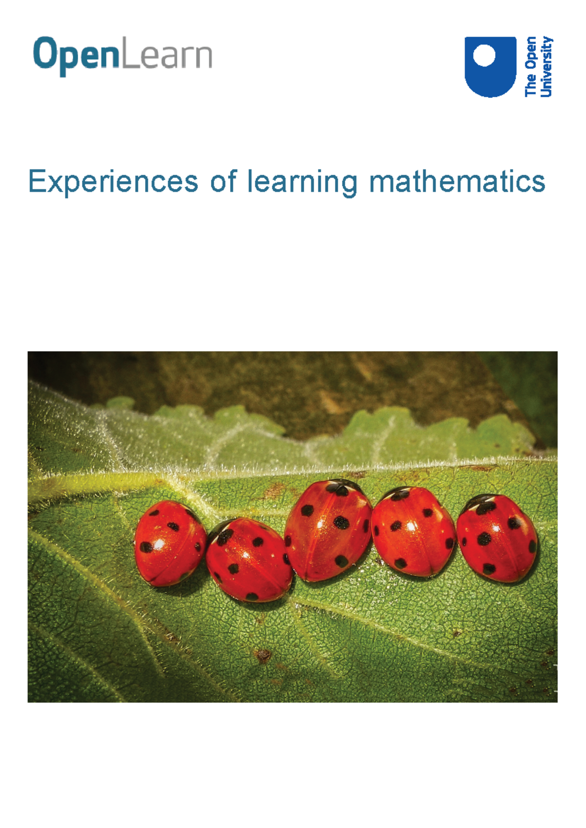Experiences of learning mathematics printable - Experiences of learning ...