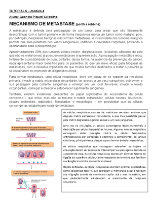 fases do puerpério, dequitação e loquiação. Hemorragia puerperal e ...