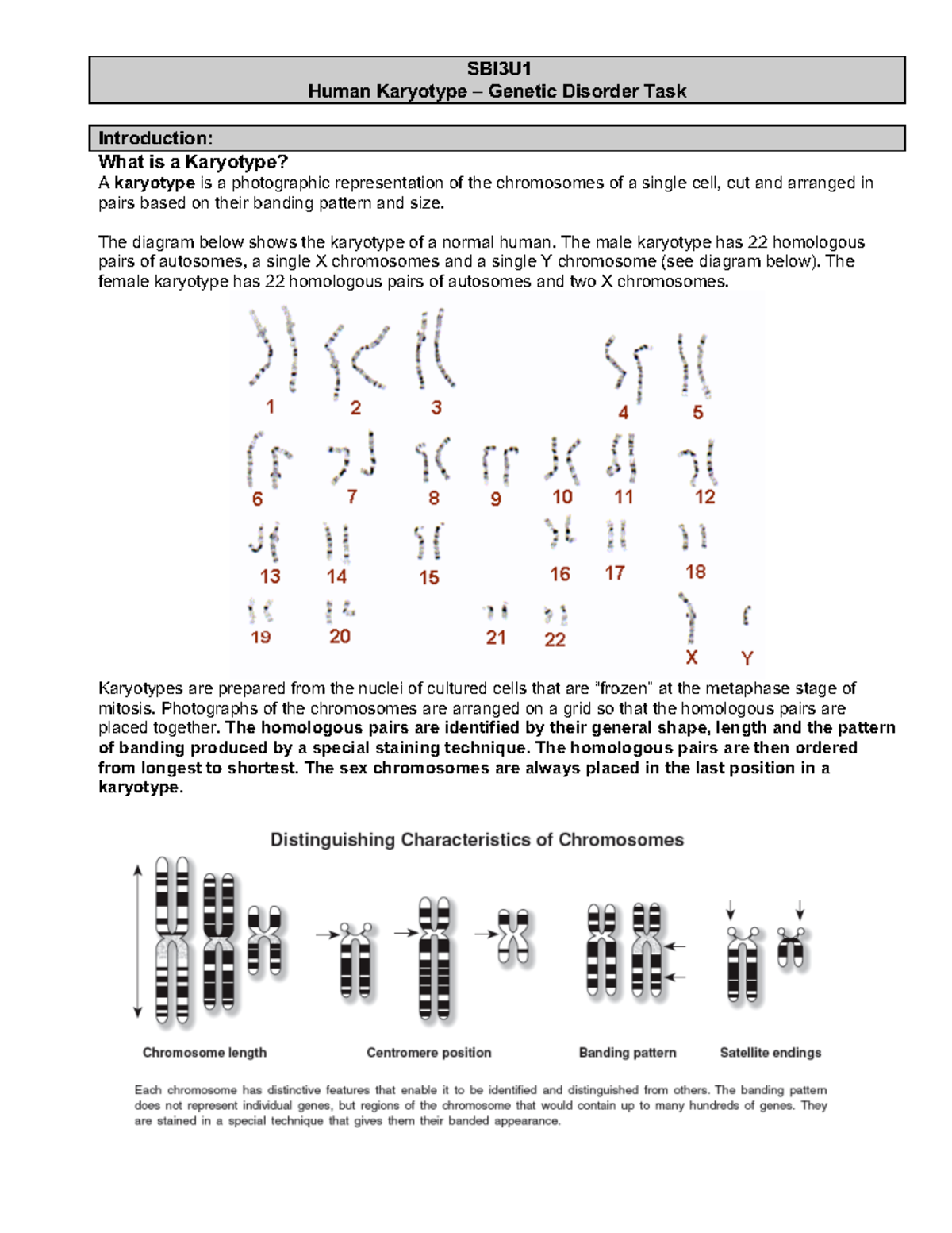 SBI3U Human Karyotype and Genetic Disorder Activity Worksheet - Studocu