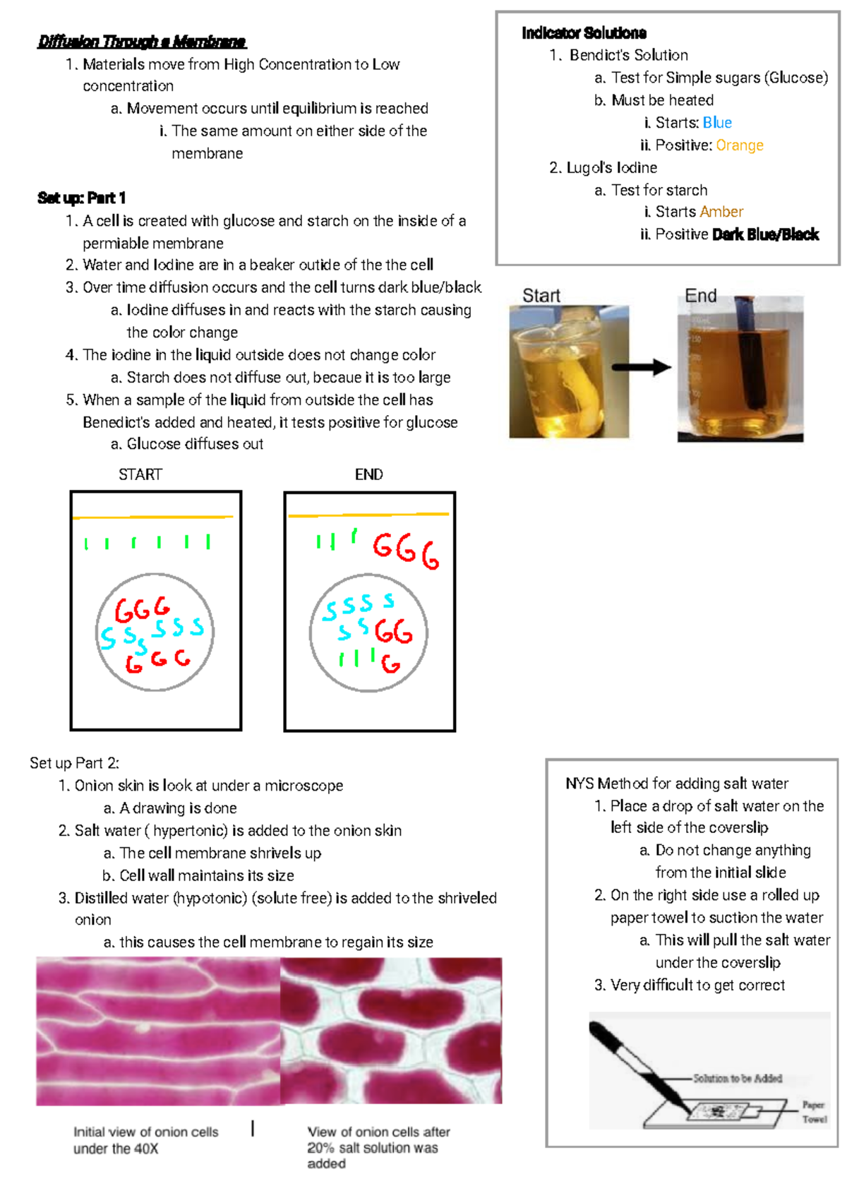 Kami Export - 25 State Labs Per 1 - BIOL 102 - Studocu