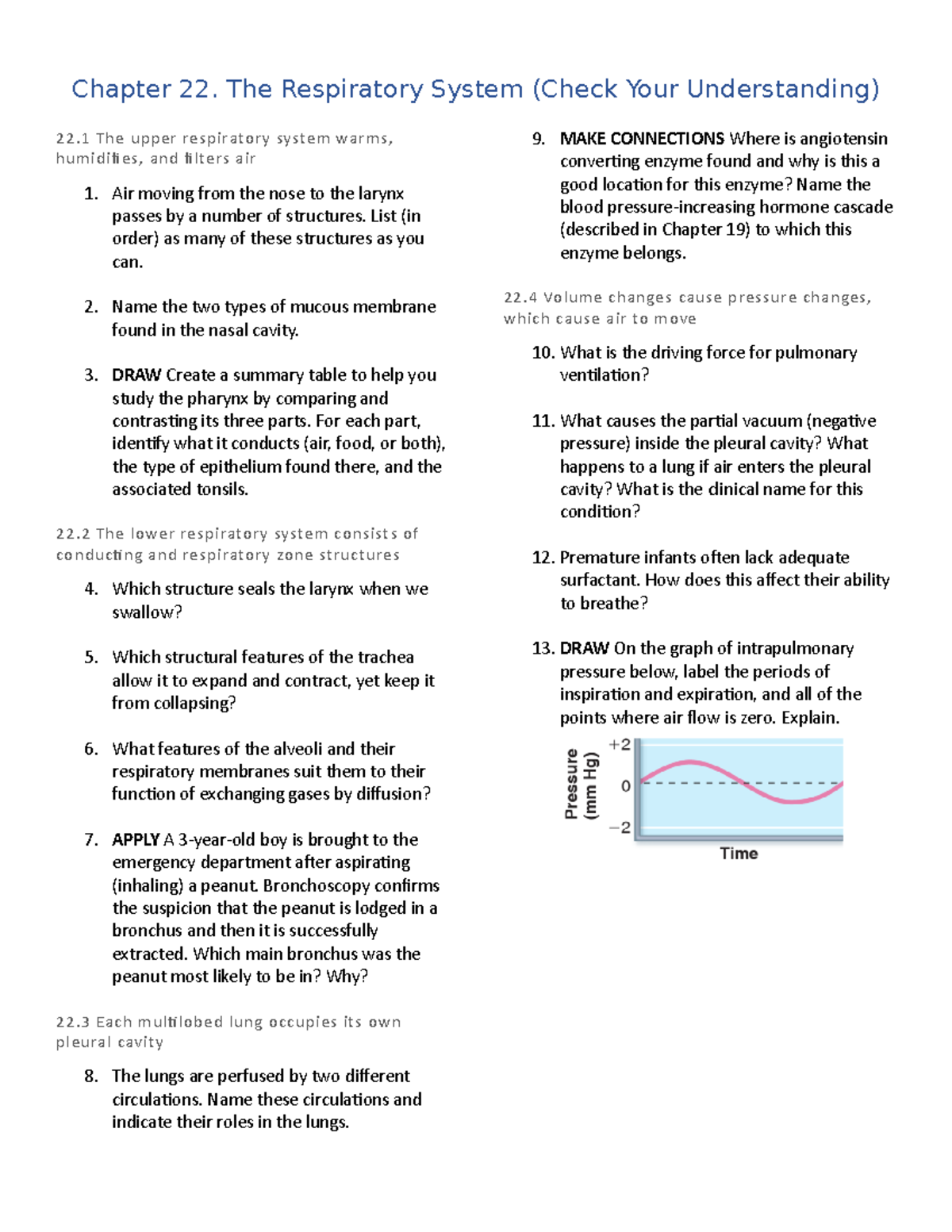 Chapter 22 Review: Understanding the Respiratory System Concepts - Studocu