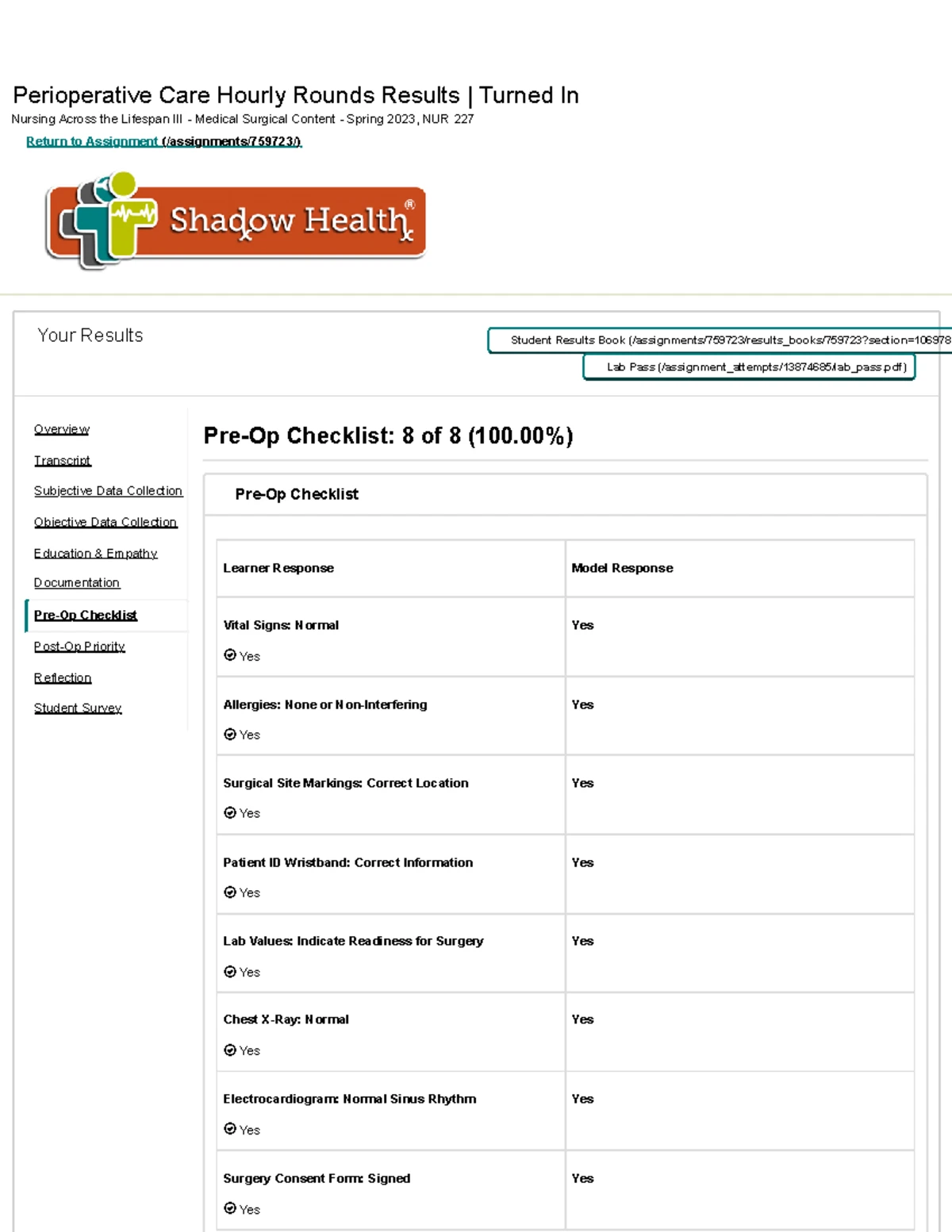 Shadow Health Endocrine System Hourly Rounds Results care plan