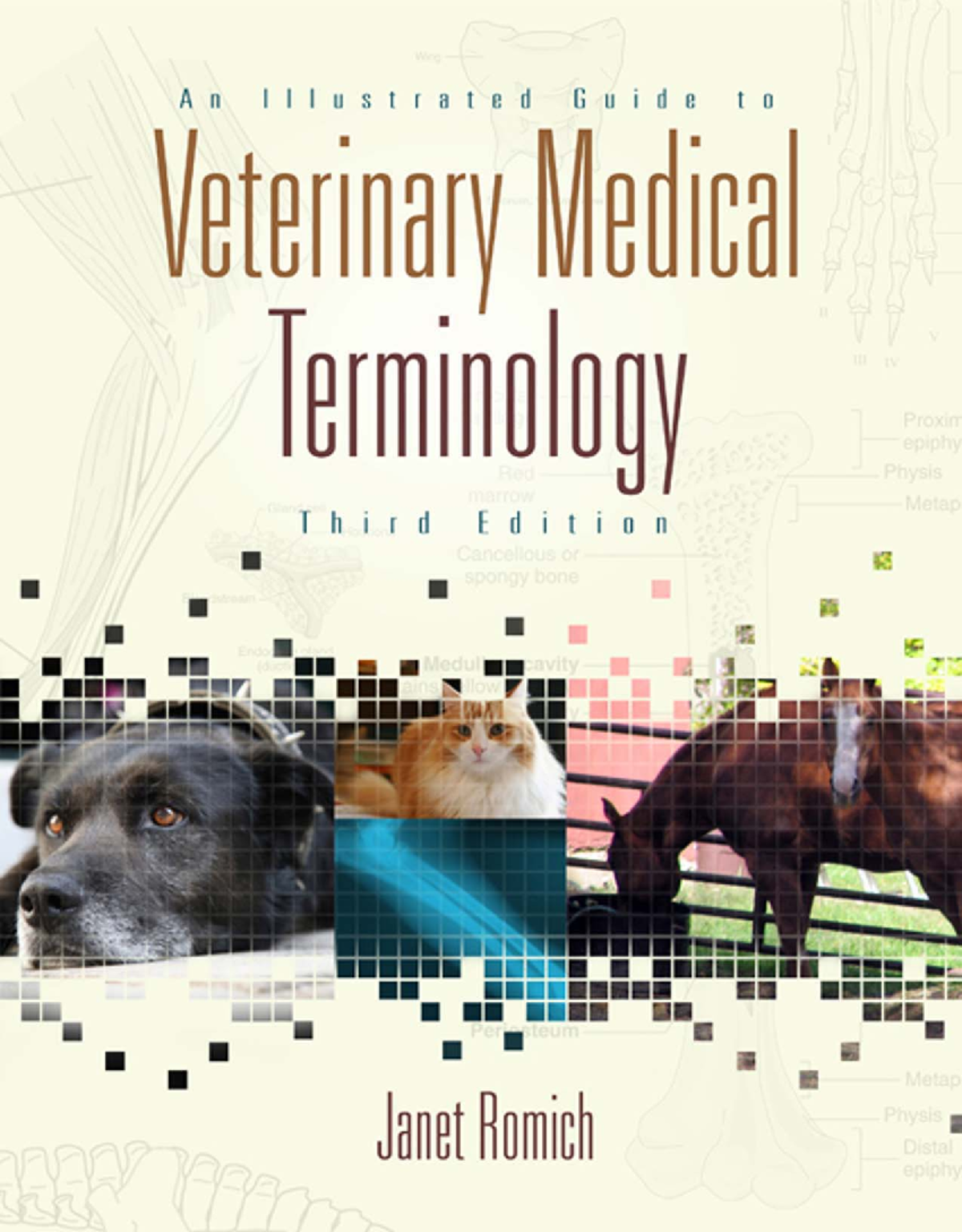 An Illustrated Guide to Veterinary Medical Terminology 3rd ed - J. Romich (Cengage, 2009 ) WW ...