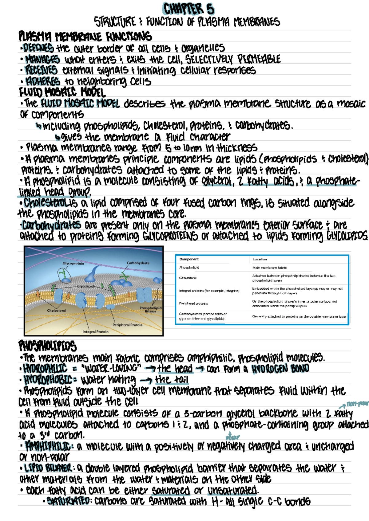 The Language of Medicine 第13版 Elsevier The Language Of Medicine 13th Edition Medical
