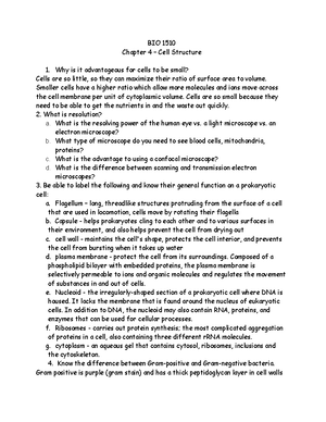 How Cells Harvest Energy: Lecture Notes for BIO 1510 Chapter 7 - How ...