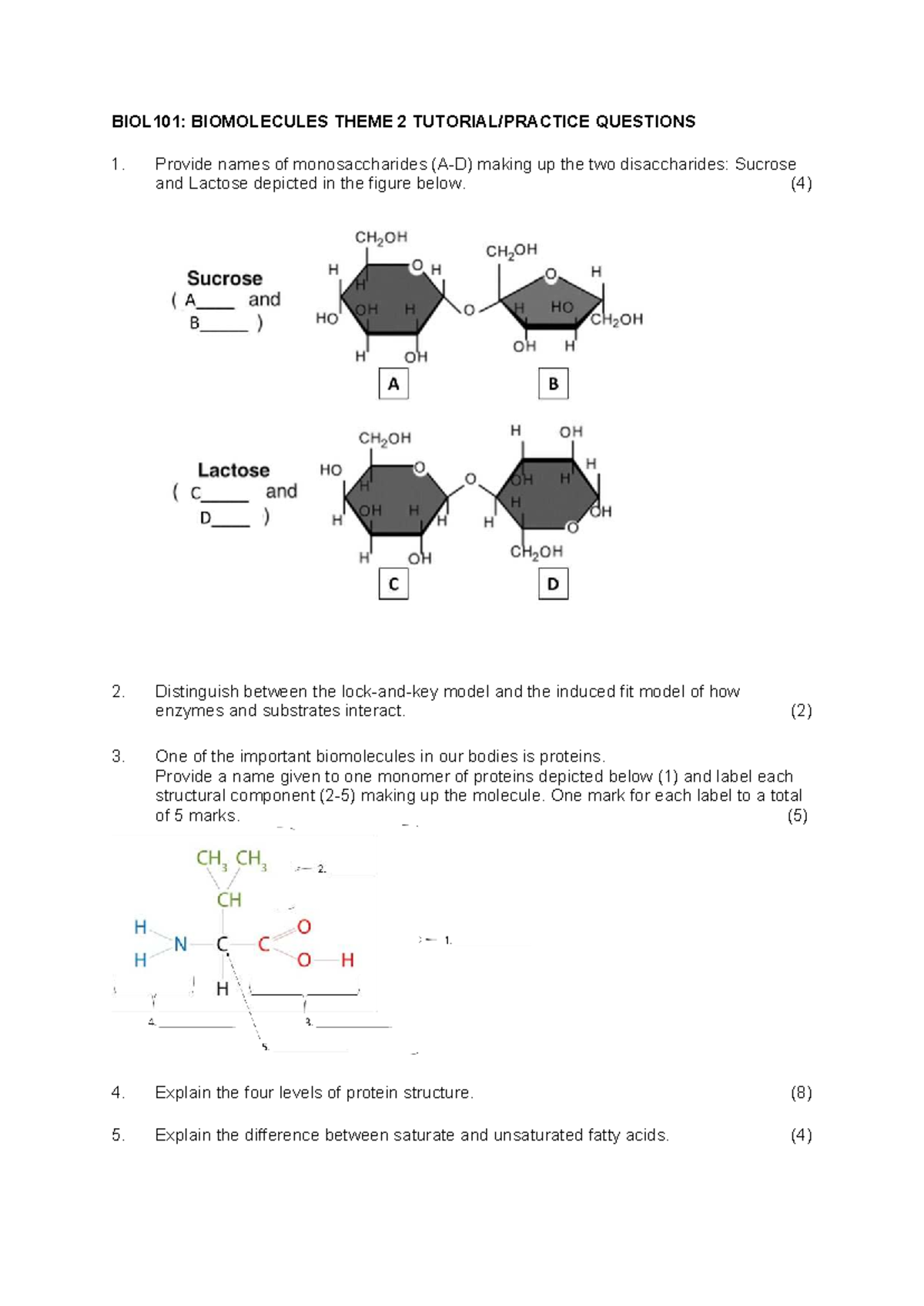BIOL101: Biomolecules Theme 2 Tutorial Questions and Answers - Studocu
