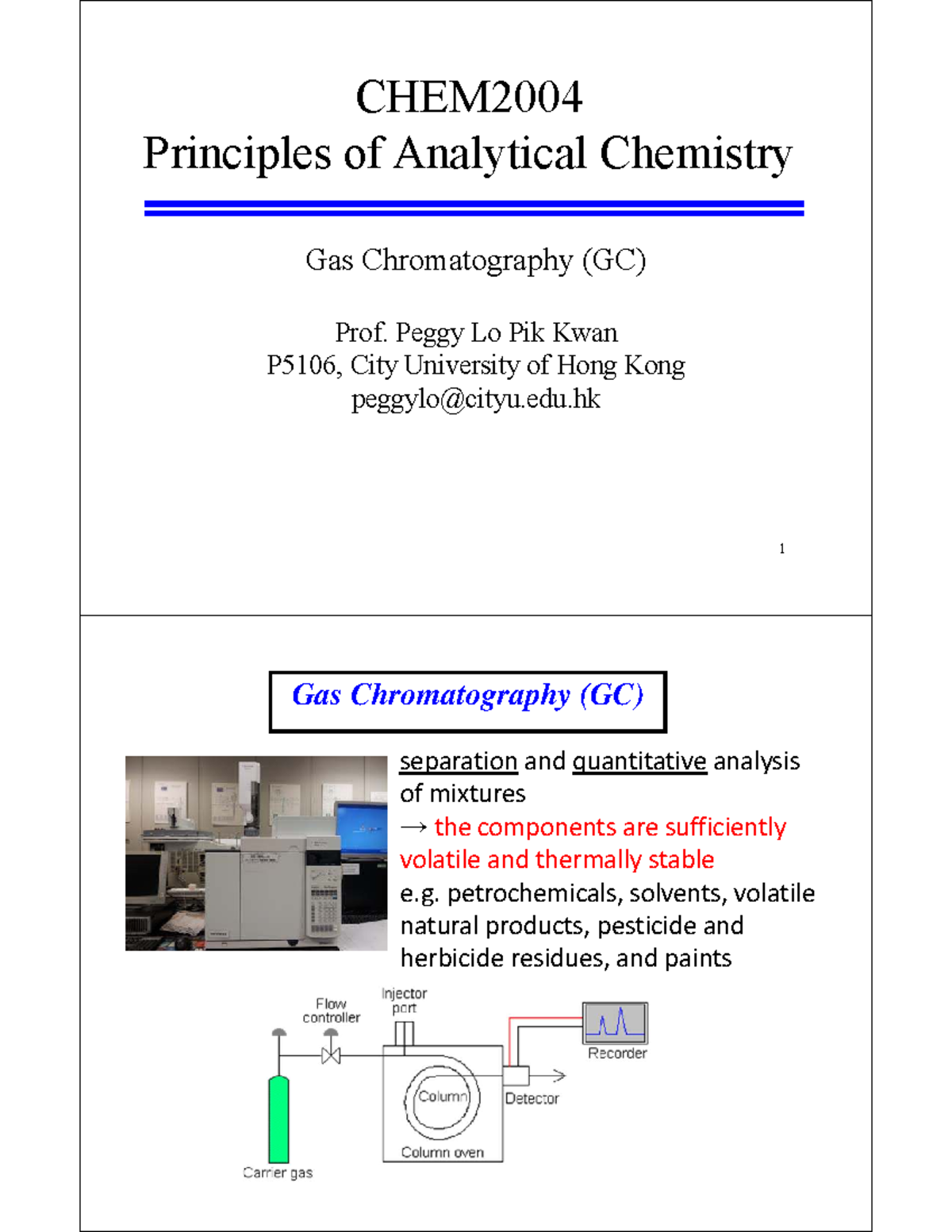 CHEM2004 Lecture Notes: Gas Chromatography Principles and Techniques ...