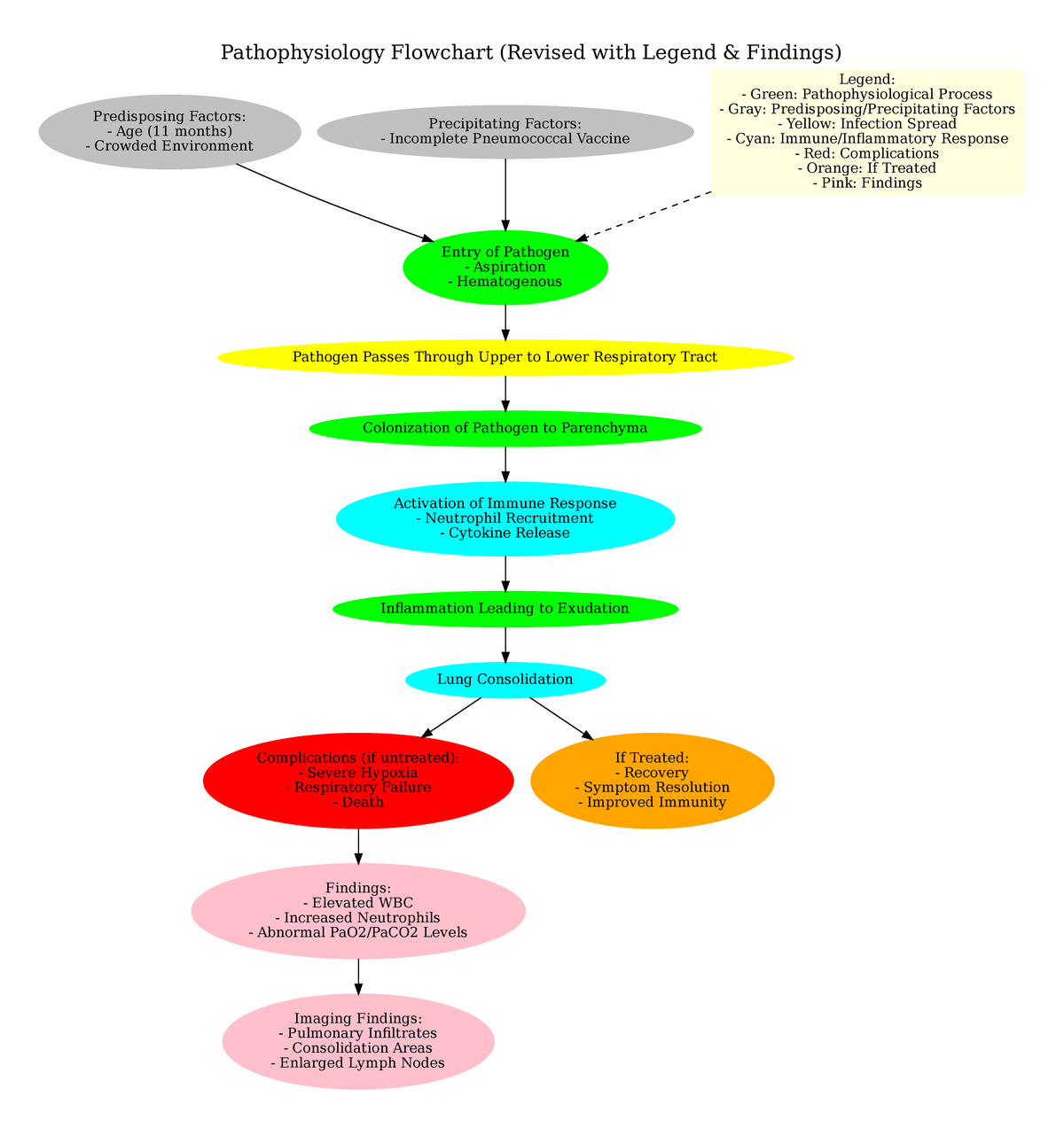 fathojjjju88i5Set - Pathophysiology Flowchart (Revised with Legend ...