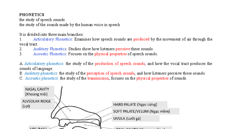 PHONETICS 101: Study of Speech Sounds and Consonant Classification ...