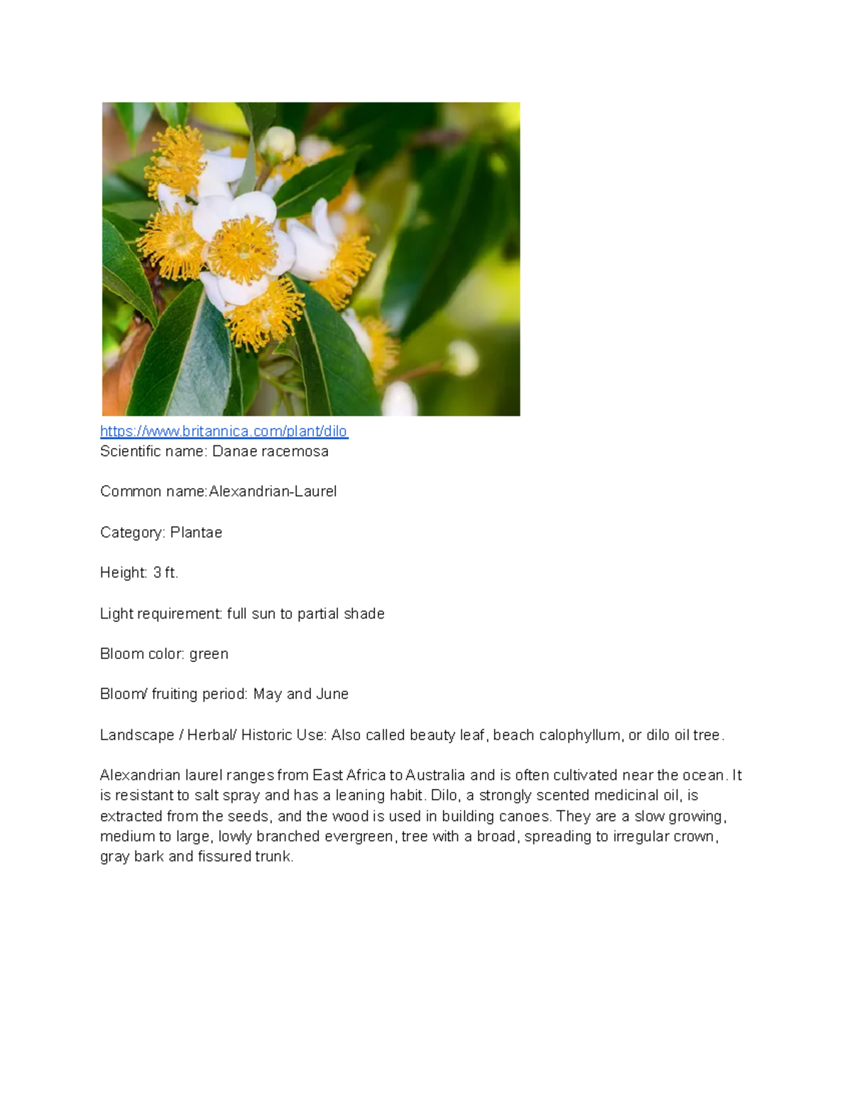 Alexandrian-Laurel - Information on Alexandrian- Laurel Professor Andy ...