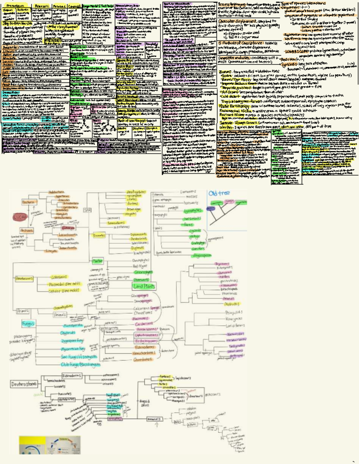 Final Cheat Sheet: Microevolutionary Forces & Genetic Drift (BIOL 101 ...