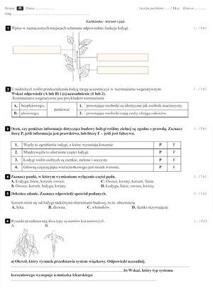 1 - Sprawdzian z biologii z zakresu rozszerzonego: rośliny