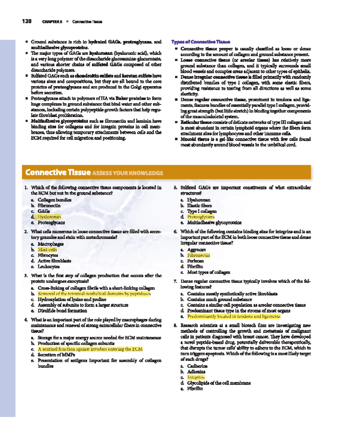 Connective Tissue Review Questions - Chapter 5 (Bio 101) - Studocu
