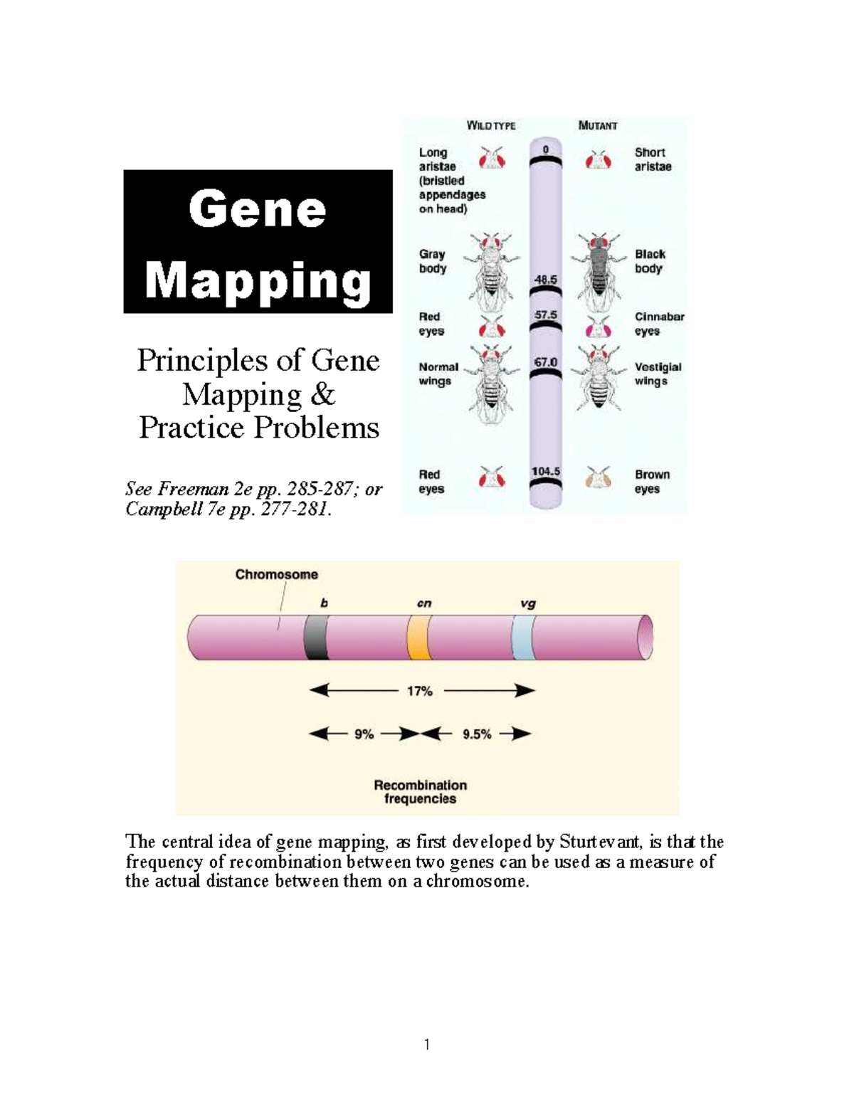 Biology 20 Gene Mapping: Principles & Practice Problems - Studocu