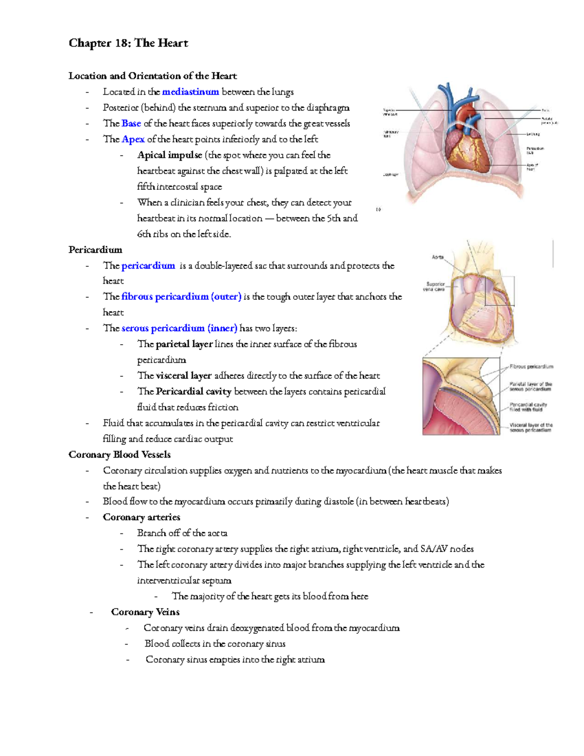 A&P 2 Lecture Notes: Chapter 18 - The Heart's Structure & Function ...