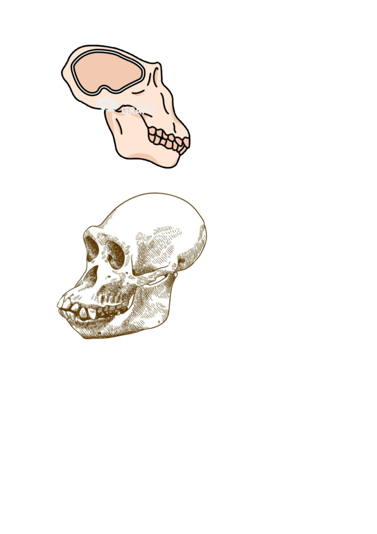 Australopitecus - Material - Filosofía - On H and is in  S !!! 11 ...