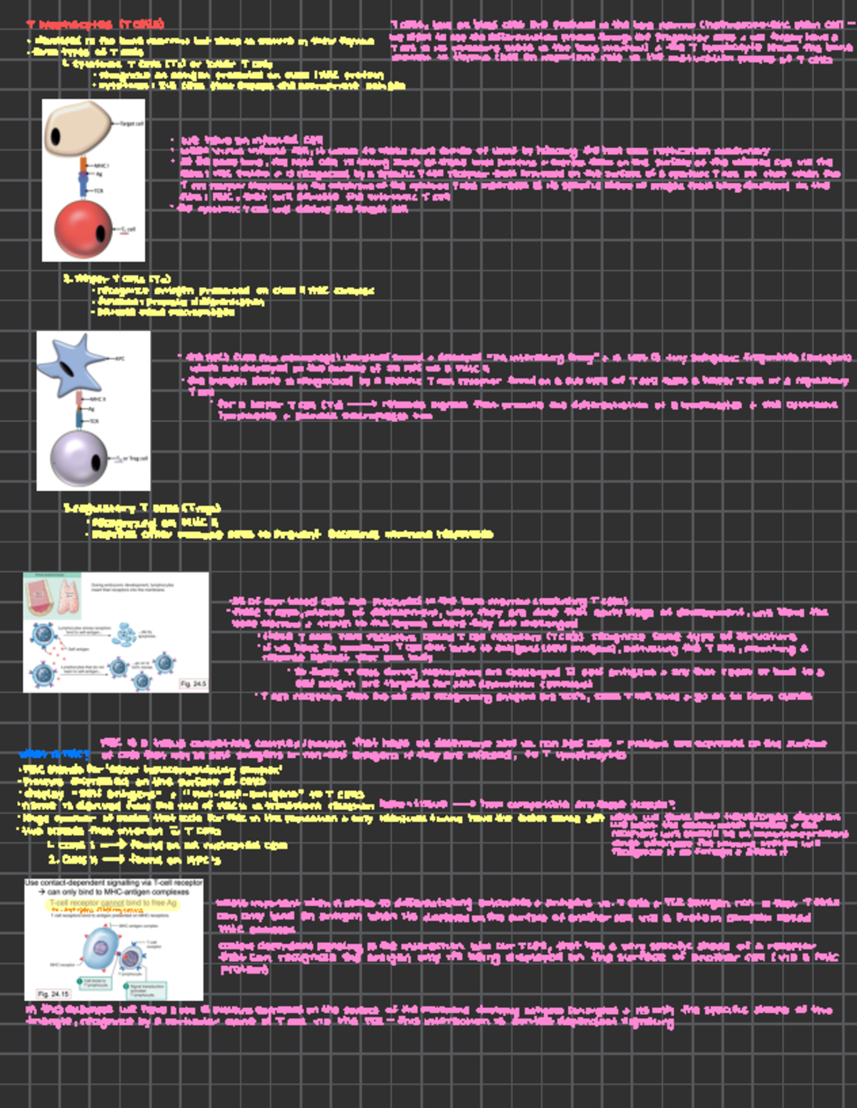 T Cell Maturation and Function: Exam Review 5 - Notes - Studocu
