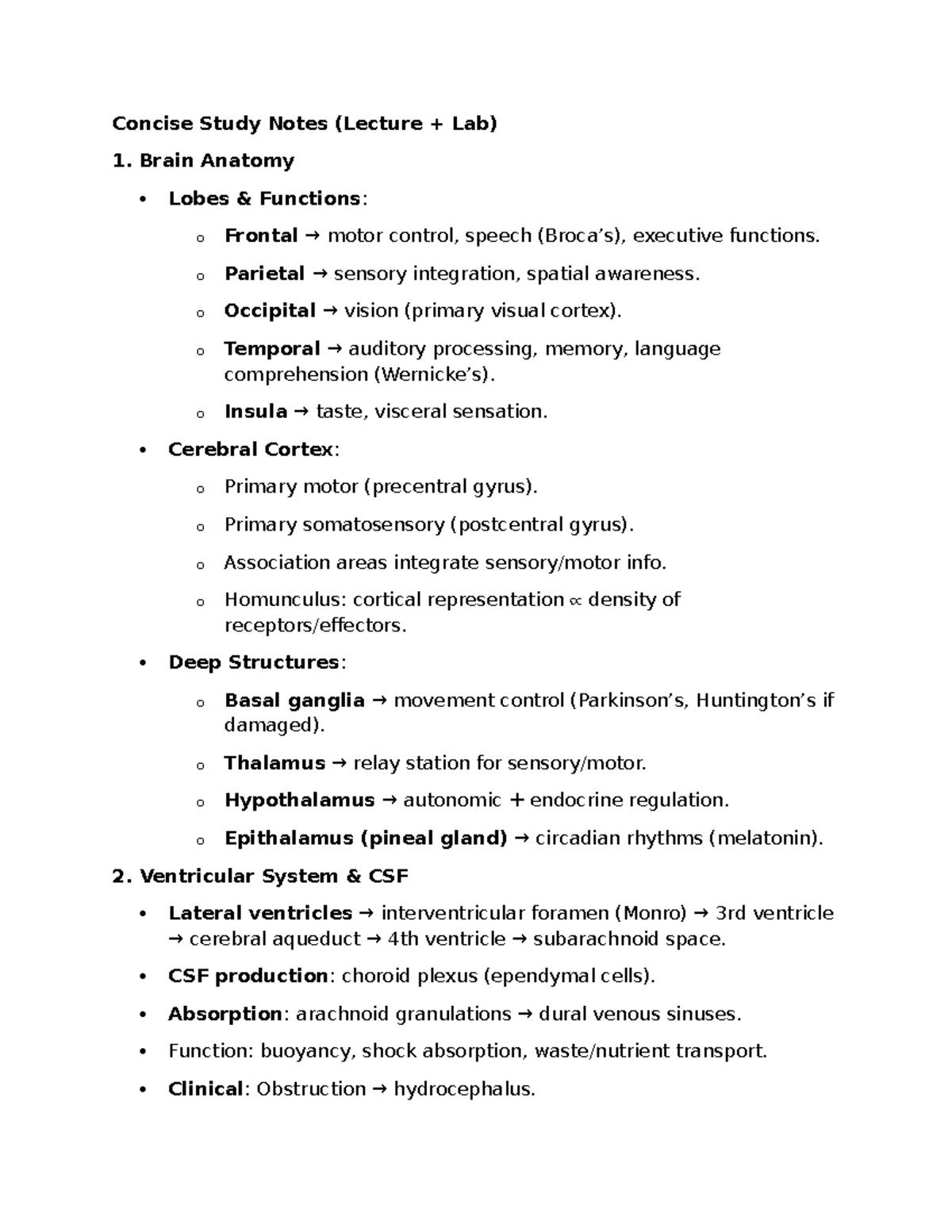 Brain Anatomy & Functions: Concise Study Notes (Lecture Lab) - Studocu