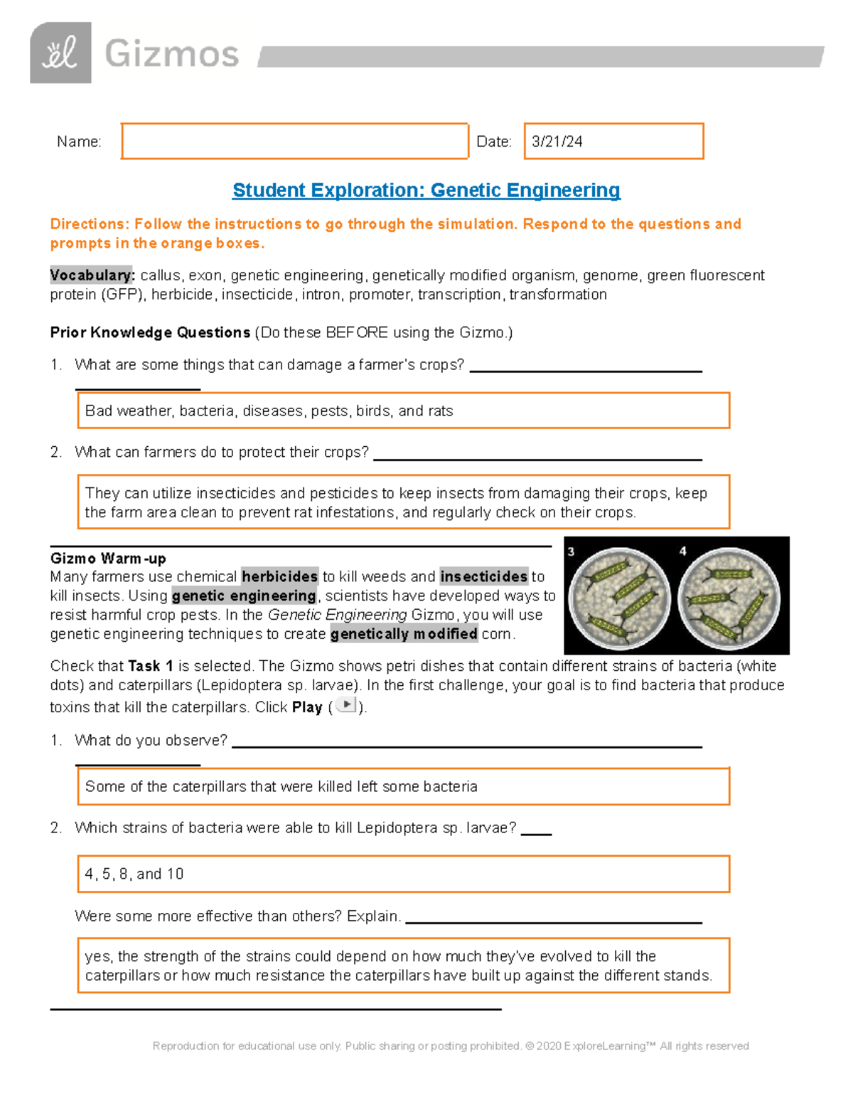 Genetic Engineering Simulation Activity SE: Exploring Crop Resistance ...