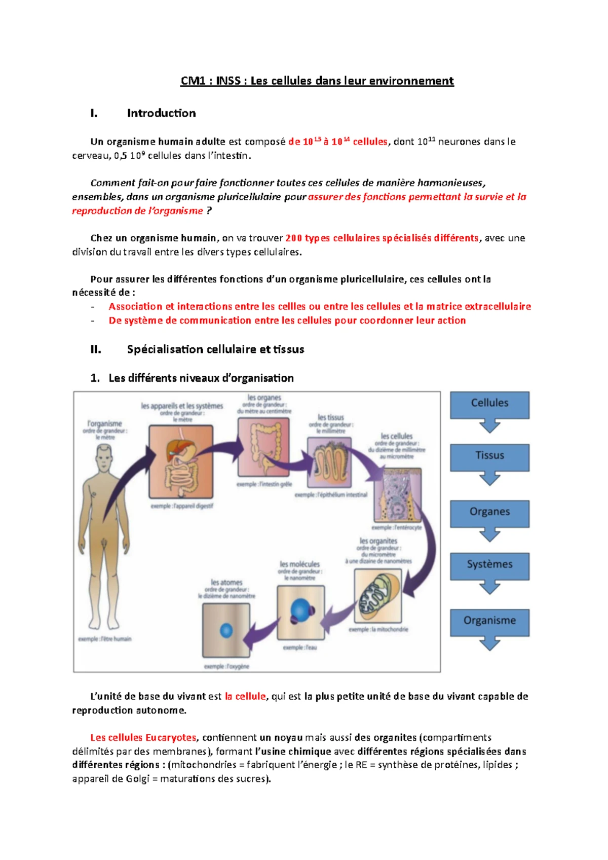 INSS1 - Notes de Cours sur la Biologie Cellulaire et Quiz - Studocu
