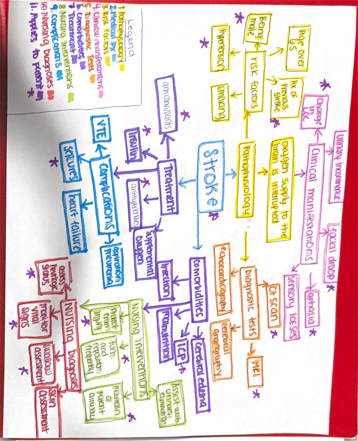 Clinical paperwork patho flow sheet for stroke patho and manifestation ...