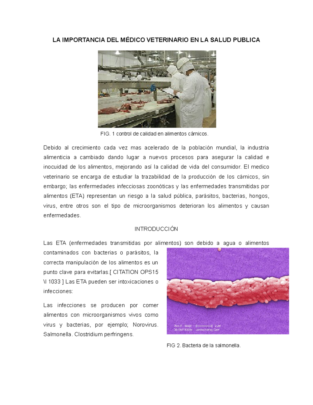 LA Importancia DEL Médico Veterinario EN LA Salud Publica - LA ...