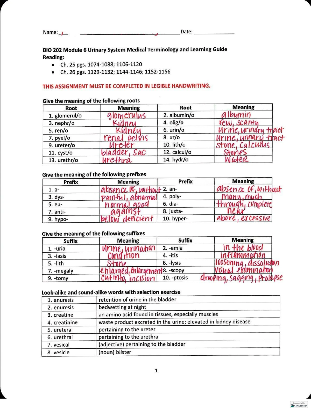 BIO 202 Module 1: Circulatory System Medical Terminology Guide - Studocu