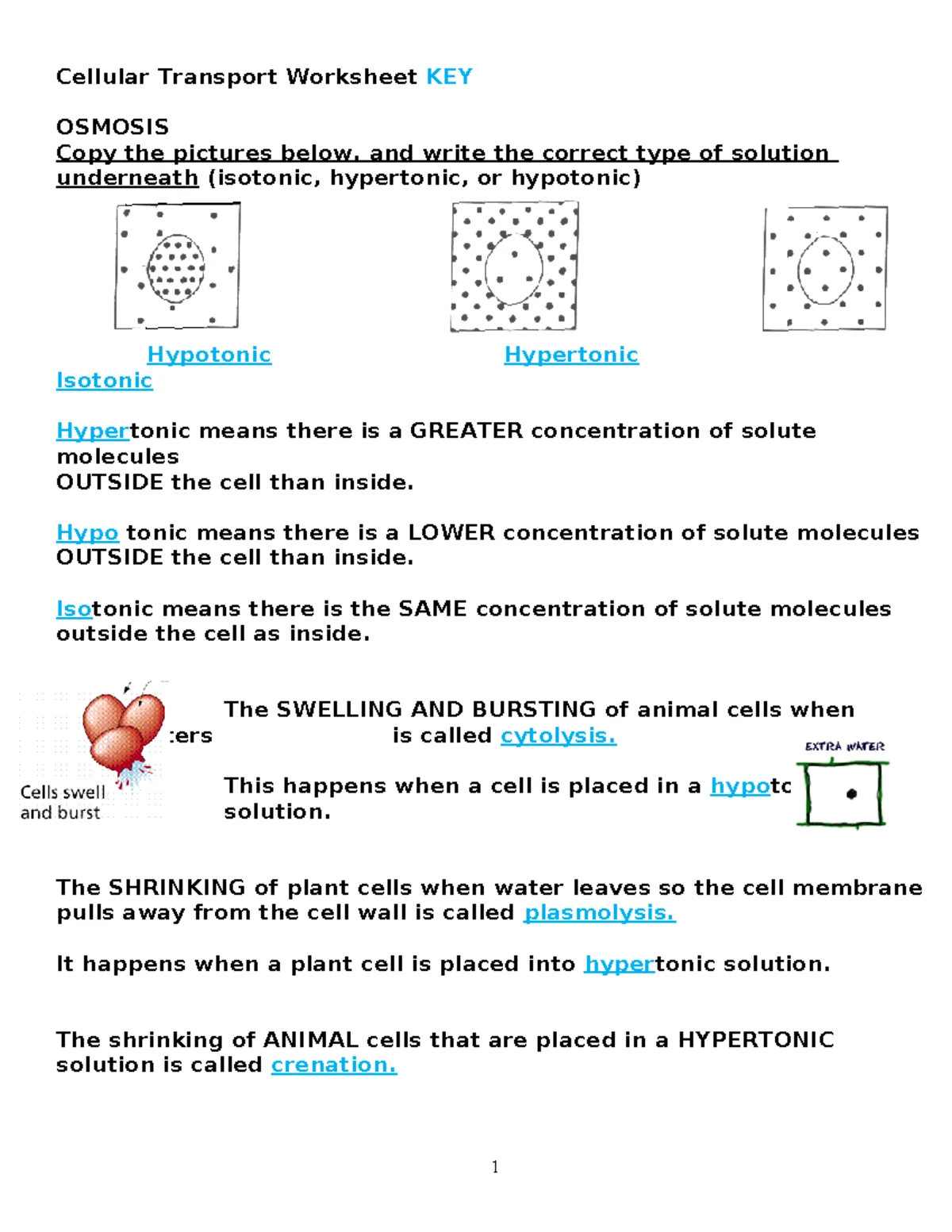 BIO/350 v5 Wk3 Lab Report: Understanding Cell Membrane Transport - Studocu
