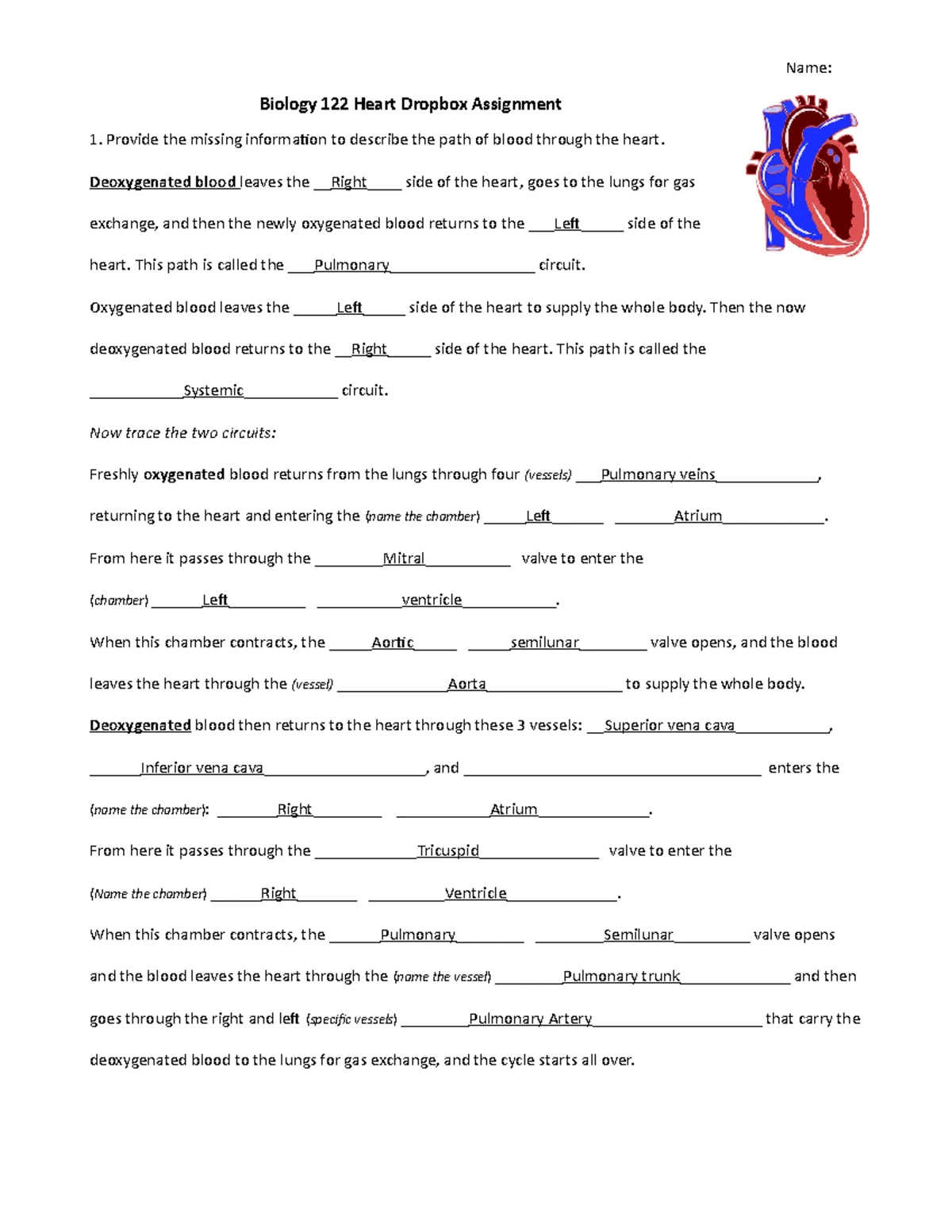 Digestive System Overview: Structure, Function, and Disorders ...