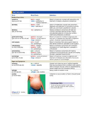 Comprehensive Guide to Medical Terminology & Anatomy (MED 101) - Studocu