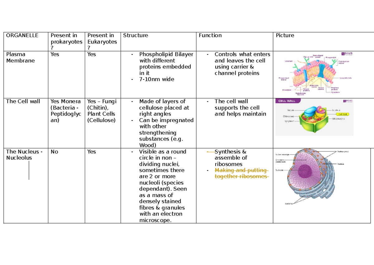 Bio - Organelle Table: Structure & Function of Cell Organelles - Studocu