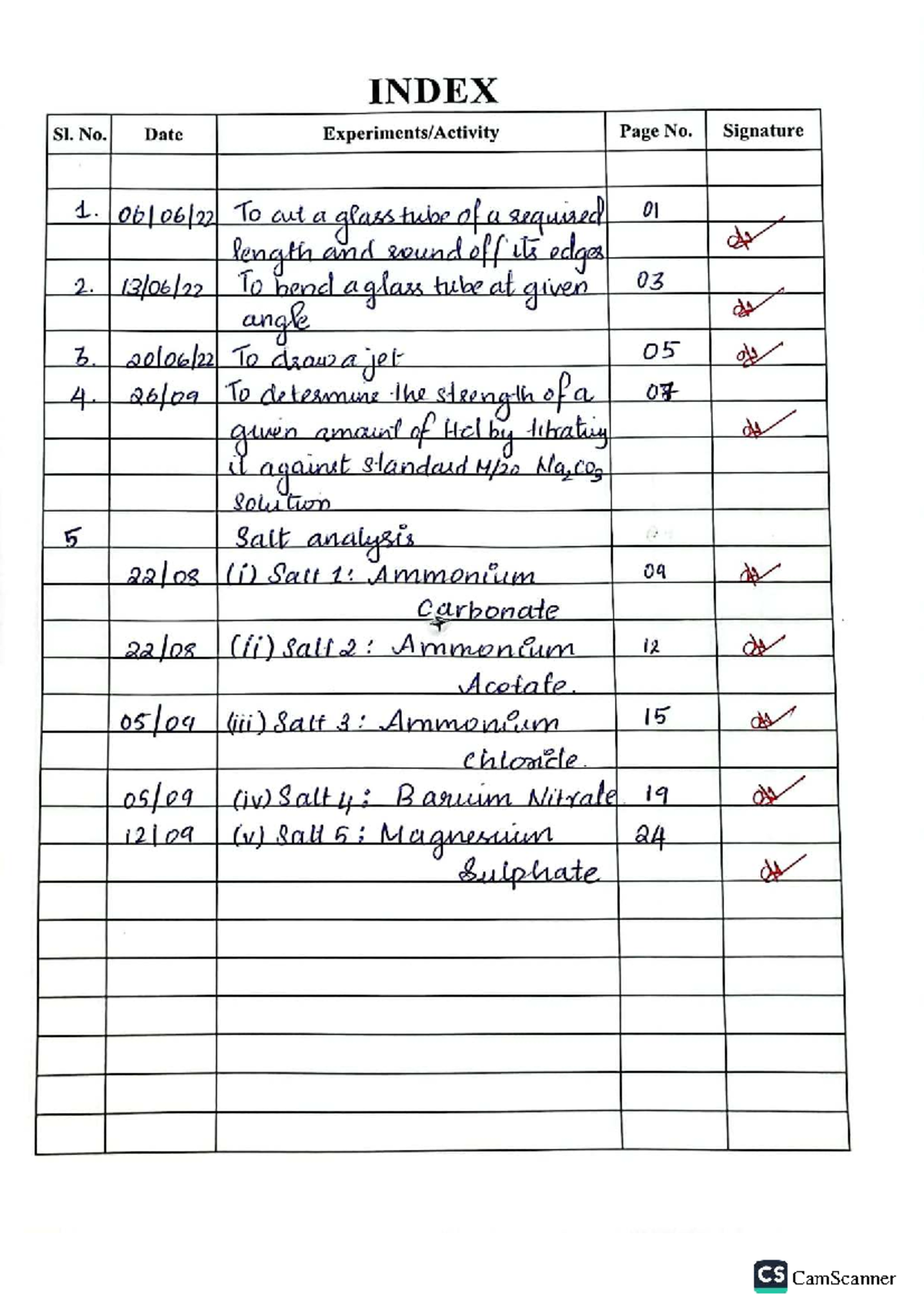 Grade 11 CS Practical Record: Laboratory Techniques and Salt Analysis ...