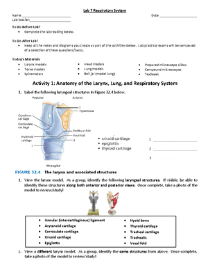 Lab 1 Nervous System Histology Lab Slides - Nervous System Histology ...
