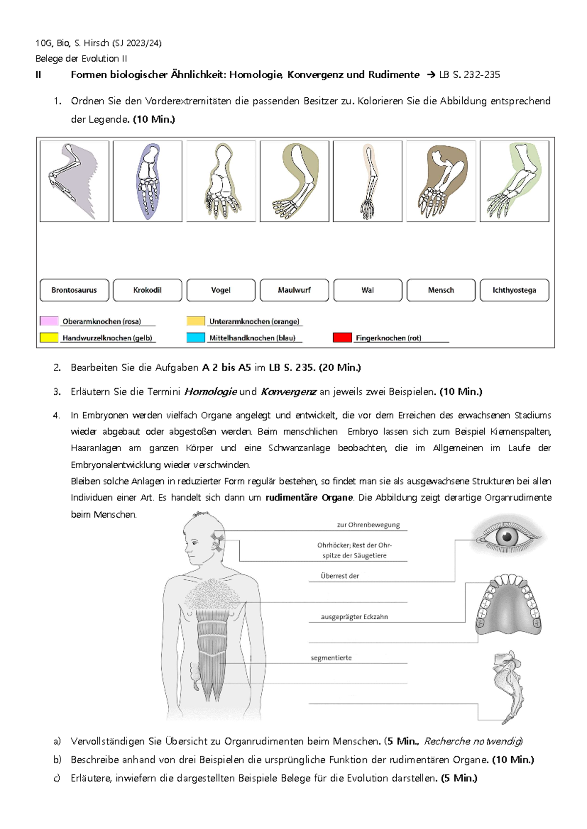10G Bio: Belege der Evolution II - Homologie, Konvergenz & Rudimente ...
